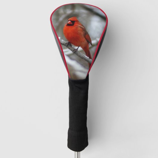Mannelijke kardinaal golfheadcover (Voorkant)