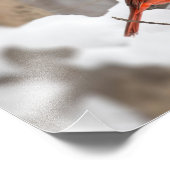 Mannelijke kardinaal in de sneeuw foto afdruk (Hoek)