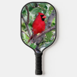 Mannelijke kardinaal in een Lemon Tree Pickleball  Pickleball Paddle