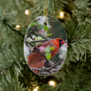 Mannelijke kardinaal in Springtime Keramisch Ornament