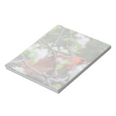 Mannelijke kardinaal in Springtime Notitieblok (Linkerzijde)
