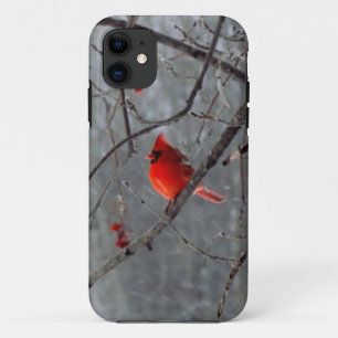 Mannelijke kardinaal iPhone 5 hoesje