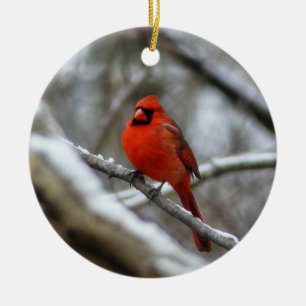 Mannelijke kardinaal keramisch ornament