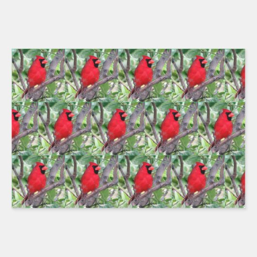 Mannelijke kardinaal - Kleine pic - Papierbladen m Inpakpapier Vel (Voorkant)