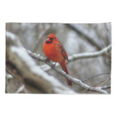 Mannelijke kardinaal kussensloop (Achterkant)