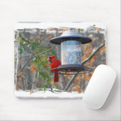 Mannelijke kardinaal muismat (Met muis)