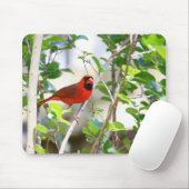 Mannelijke kardinaal muismat (Met muis)