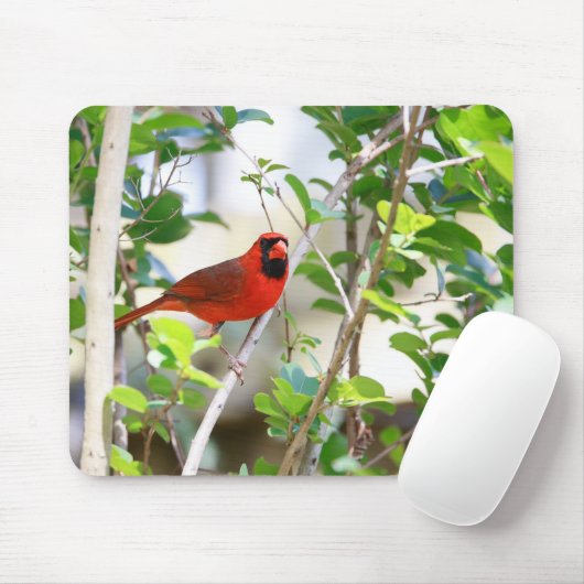 Mannelijke kardinaal muismat (Met muis)