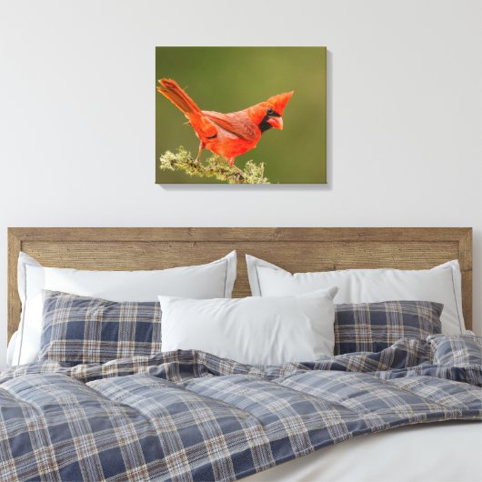 Mannelijke kardinaal op ledemaat canvas afdruk (Insitu (Slaapkamer))