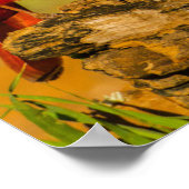 Mannelijke kardinaal op log poster (Hoek)