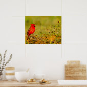 Mannelijke kardinaal op log poster (Keuken)