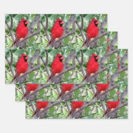 Mannelijke kardinaal - Papierbladen voor alle gele Inpakpapier Vel