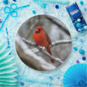 Mannelijke kardinaal papieren bordje (Feest)