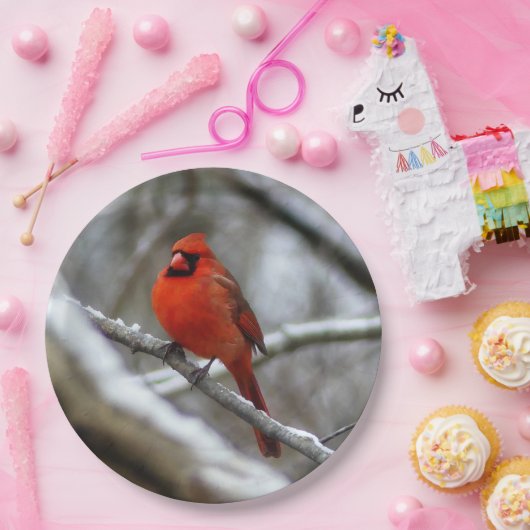 Mannelijke kardinaal papieren bordje (Feest)