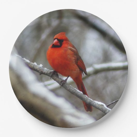 Mannelijke kardinaal papieren bordje (Voorkant)