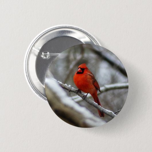 Mannelijke kardinaal ronde button 5,7 cm (Voorkant /achterkant)