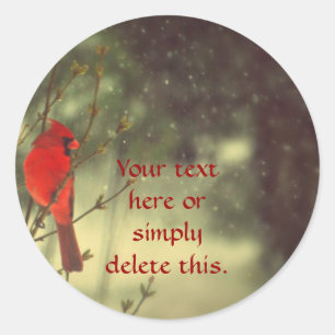 Mannelijke kardinaal ronde sticker