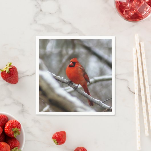 Mannelijke kardinaal servet (Insitu)