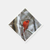 Mannelijke kardinaal servet (Hoek)