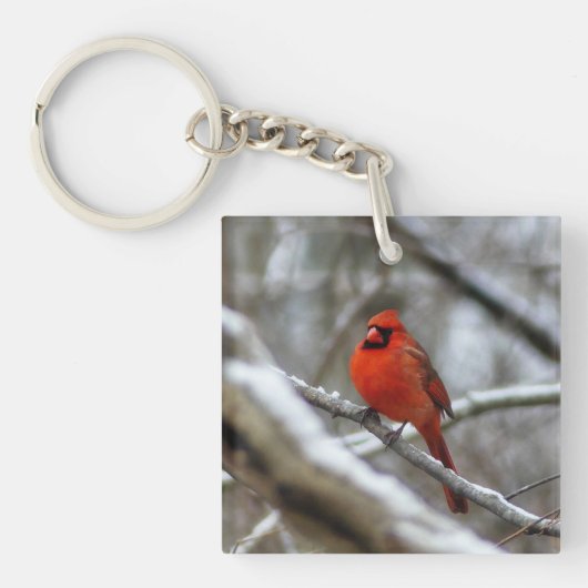 Mannelijke kardinaal sleutelhanger (Voorkant)