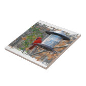 Mannelijke kardinaal tegeltje (Zijkant)