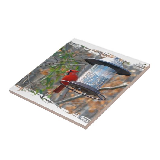 Mannelijke kardinaal tegeltje (Zijkant)