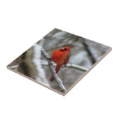Mannelijke kardinaal tegeltje (Zijkant)
