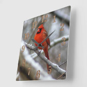 Mannelijke kardinaal vierkante klok (Hoek)