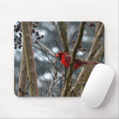 Mannelijke kardinaalconcentratie muismat (Met muis)