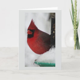 Mannelijke kerstkaart feestdagen kaart