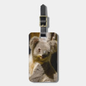 Mannelijke koala personaliseren bagagelabel (Voorkant verticaal)