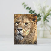Mannelijke leeuw cartoon plezier/nieuw briefkaart (Staand voorkant)