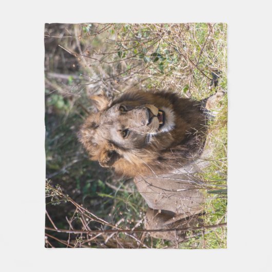 Mannelijke leeuw fleece deken (Voorkant)