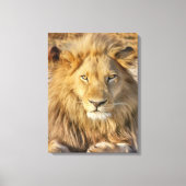 MANNELIJKE LEEUW GESTREKT CANVAS PRINT (Voorkant)