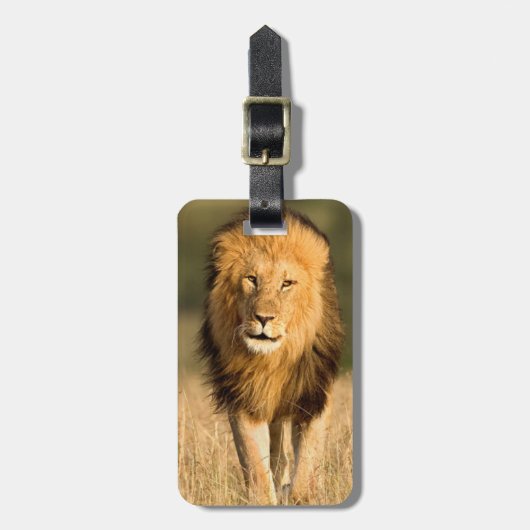 Mannelijke Leeuw Wandelend Bagagelabel (Voorkant verticaal)