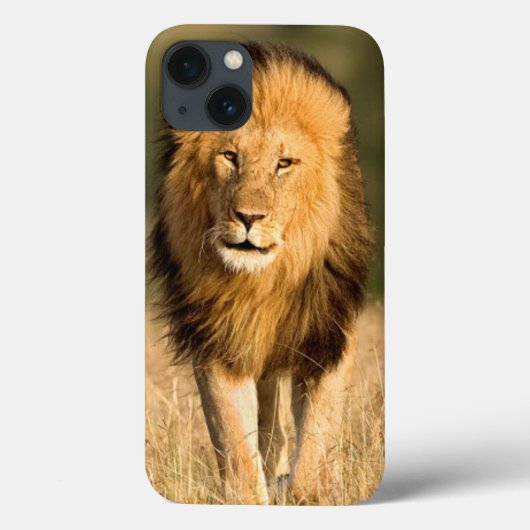Mannelijke Leeuw Wandelend Case-Mate iPhone Case (Achterkant)