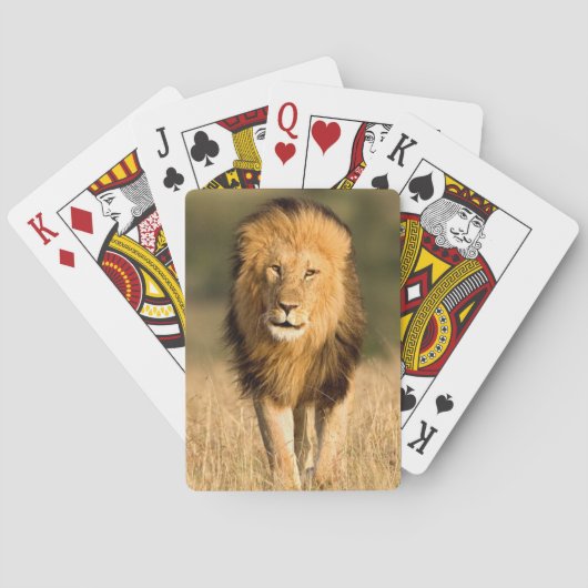 Mannelijke Leeuw Wandelend Pokerkaarten (Achterkant)