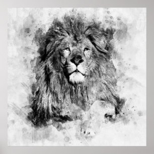 Mannelijke Leeuw Zwart en Wit Aquarel Portret Poster