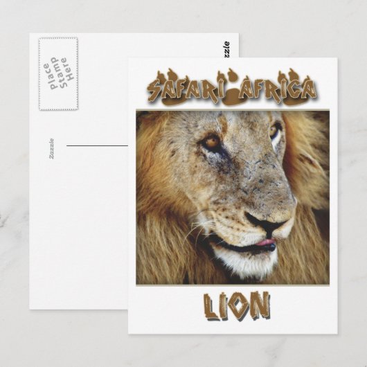 Mannelijke lieren - briefkaarten met wilde dieren (Voorkant / Achterkant)