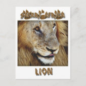 Mannelijke lieren - briefkaarten met wilde dieren (Voorkant)