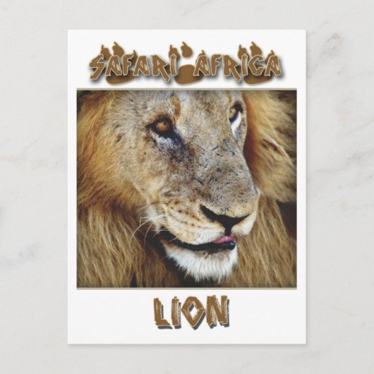 Mannelijke lieren - briefkaarten met wilde dieren (Voorkant)