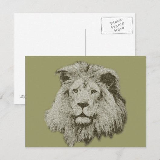 Mannelijke lion briefkaart (Voorkant / Achterkant)