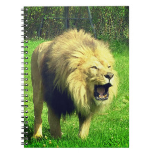 Mannelijke lion notitieboek
