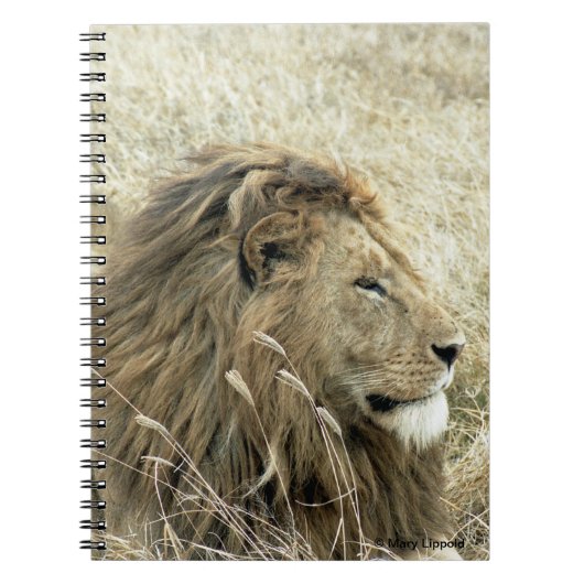 Mannelijke lion notitieboek (Voorkant)