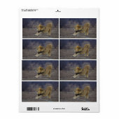 Mannelijke Lion Stretching Panthera Leo Yoga Etiket (Full Sheet)