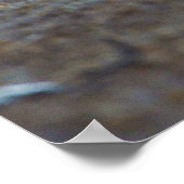 Mannelijke Lion Stretching Panthera Leo Yoga Poster (Hoek)