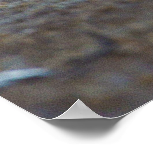 Mannelijke Lion Stretching Panthera Leo Yoga Poster (Hoek)