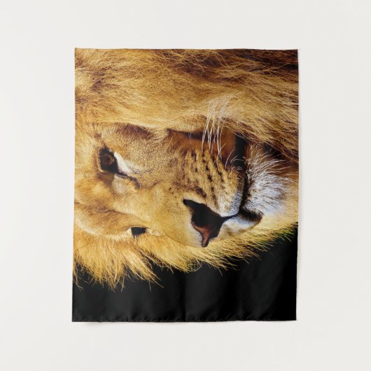 Mannelijke lion wandkleed (Voorkant)