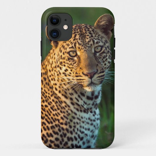 Mannelijke luipaard (Panthera Pardus) Volgroeid jo Case-Mate iPhone Case (Achterkant)