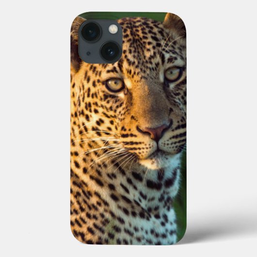 Mannelijke Luipaard (Panthera Pardus) Volgroeid We Case-Mate iPhone Case (Achterkant)